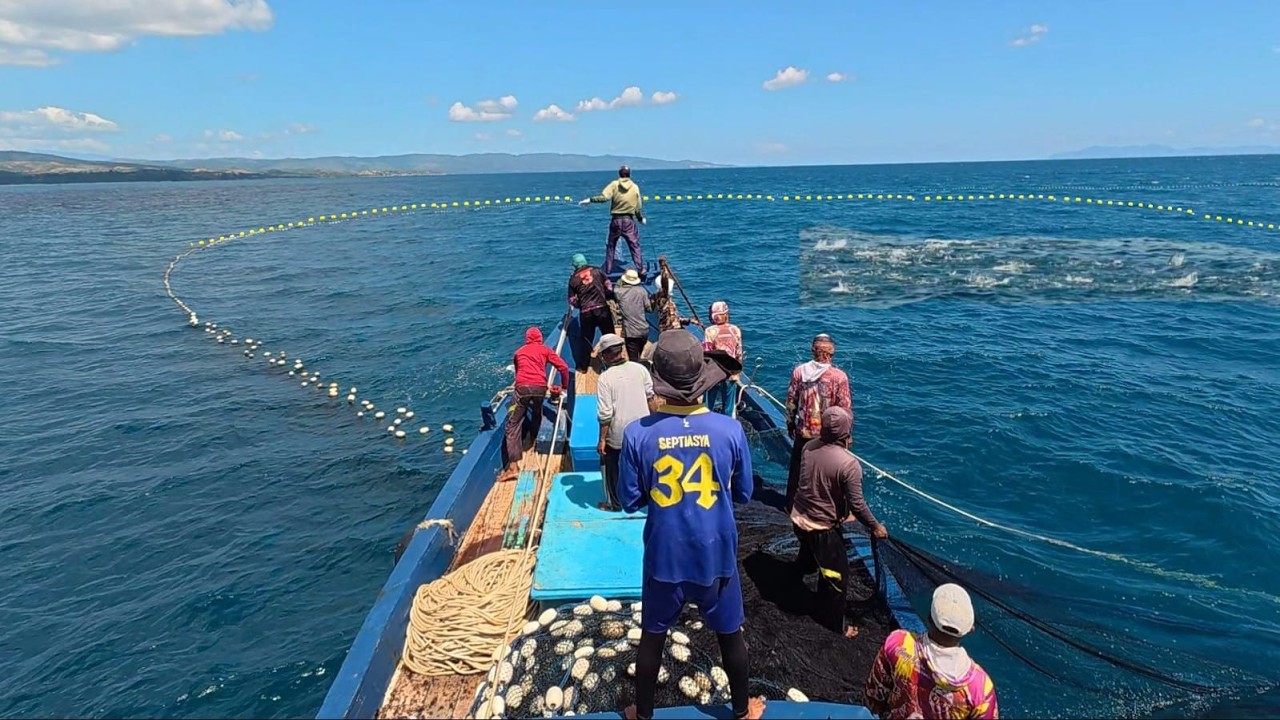 Purse seine net, Indonesian fishermen catch a lot of fish, the fishermen's catch is extraordinary