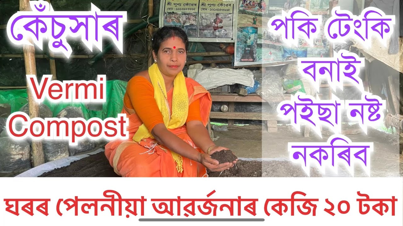 ঘৰৰ পেলনীয়া আৱৰ্জনা কেঁচুসাৰ বনাই ঘটিছে টকা। পকাৰ টেংকিও নালাগে How to make Vermi Compost at Home