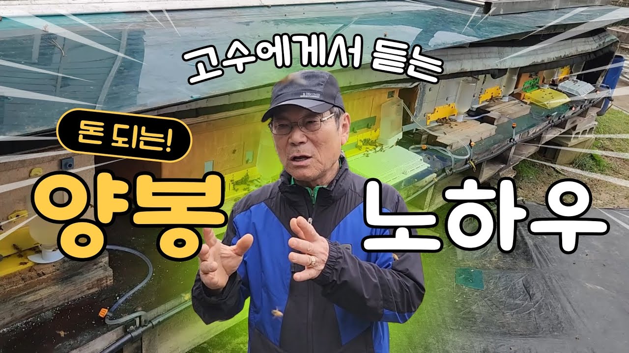 실질적 양봉고수 섬세한 관리 /안전하고 건강한 월동나기/ 왕대의 중요성 