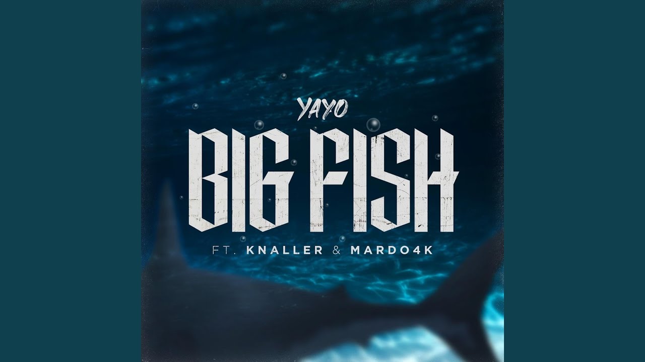 Big Fish (feat. Knaller & Mardo4k)