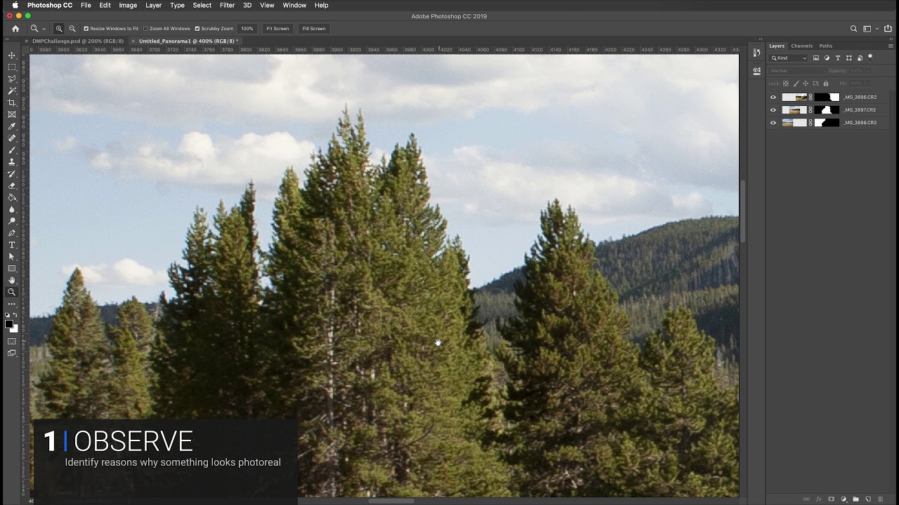 Clone Trees *Feedback* Academy DMP Challange