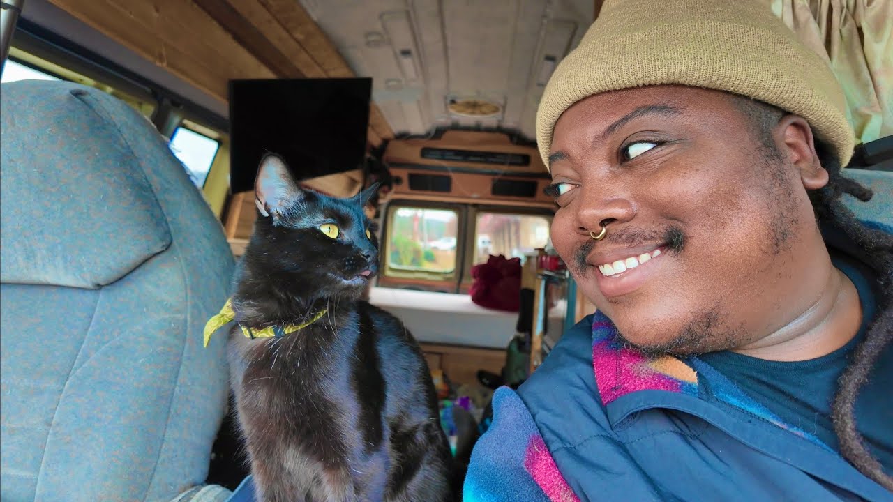 I Spent My Birthday Alone In A Van (With a Cat) 
