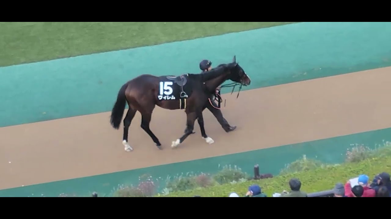 2025/11/30 東京11R ヴィレムがウェルカムステークス(3勝クラス)を優勝❗