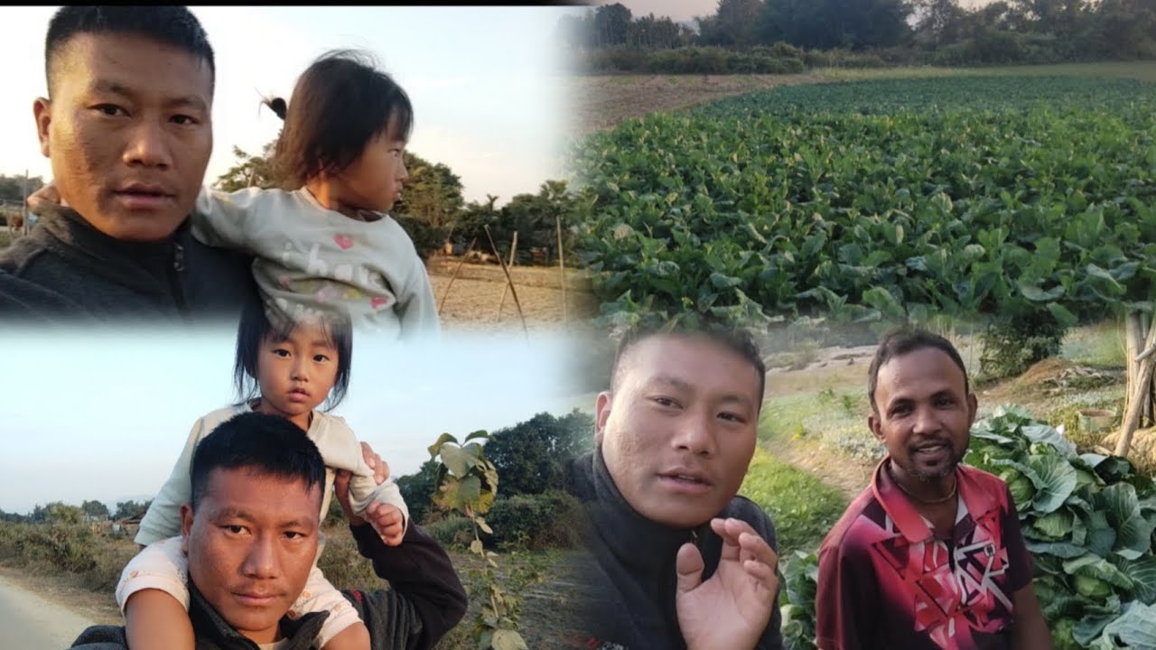 A Visit to farm|vegetables farm|nearby our house|