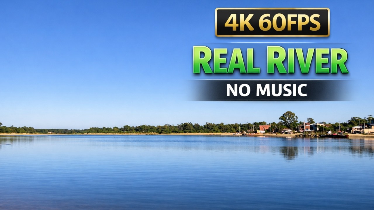 Relaxing River Sounds 🌿 Real Nature Ambience  4K 60FPS  No Music