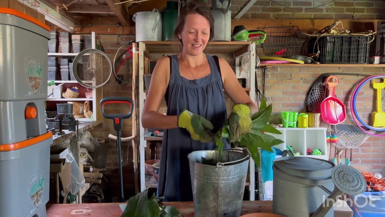 Smeerwortelgier maken - Kleine Natuur