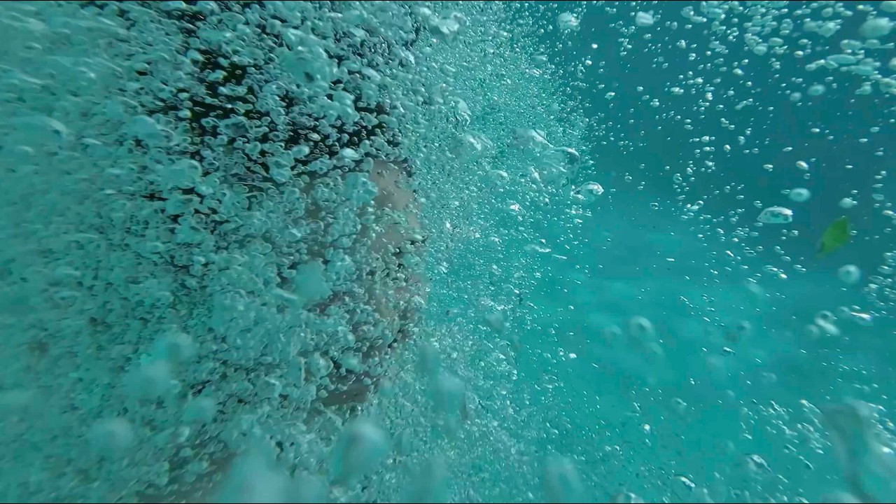 Karamū Swim 26