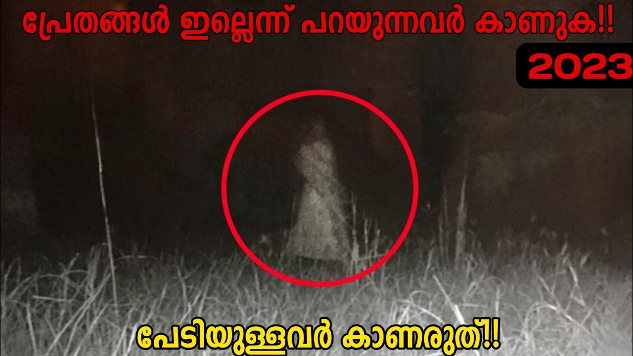 ഭയമുള്ളവർ കാണരുത്! ഇന്നും ഉത്തരമില്ലാത്ത നിഗൂഢതകൾ! Unsolved Mysteries Malayalam | Storify