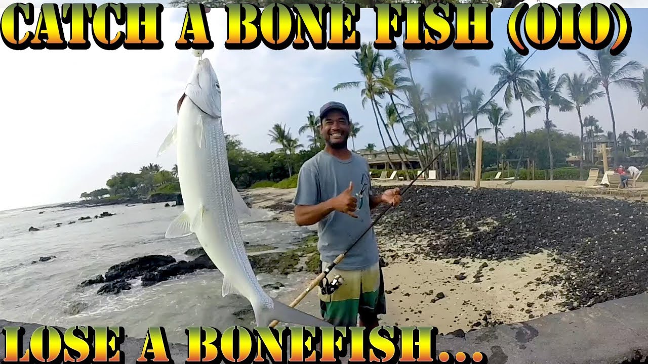 Catching Bone Fish (Oio) In Hawaii - Big Island, Hawaii Fishing Video - Braddahs On Da Shore - 52