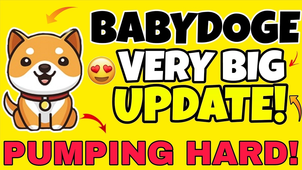 Новое масштабное обновление Babydoge Coin 😍? Новости о Babydoge Coin сегодня | Новое масштабное о...