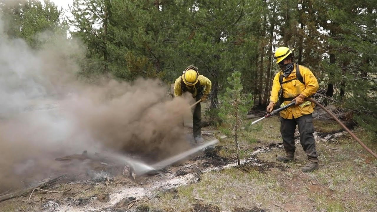Firefighters in southern Oregon 'mop up' forest after Bootleg Fire | AFP