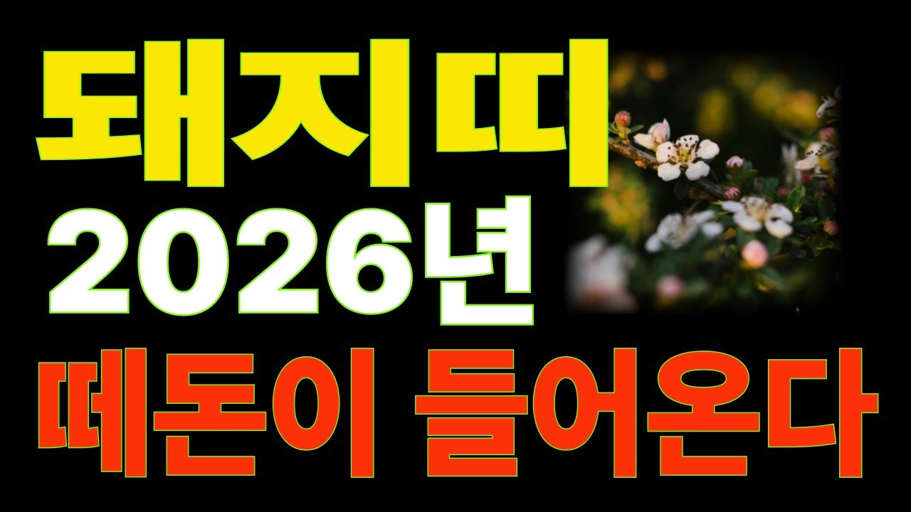 돼지띠,병오년