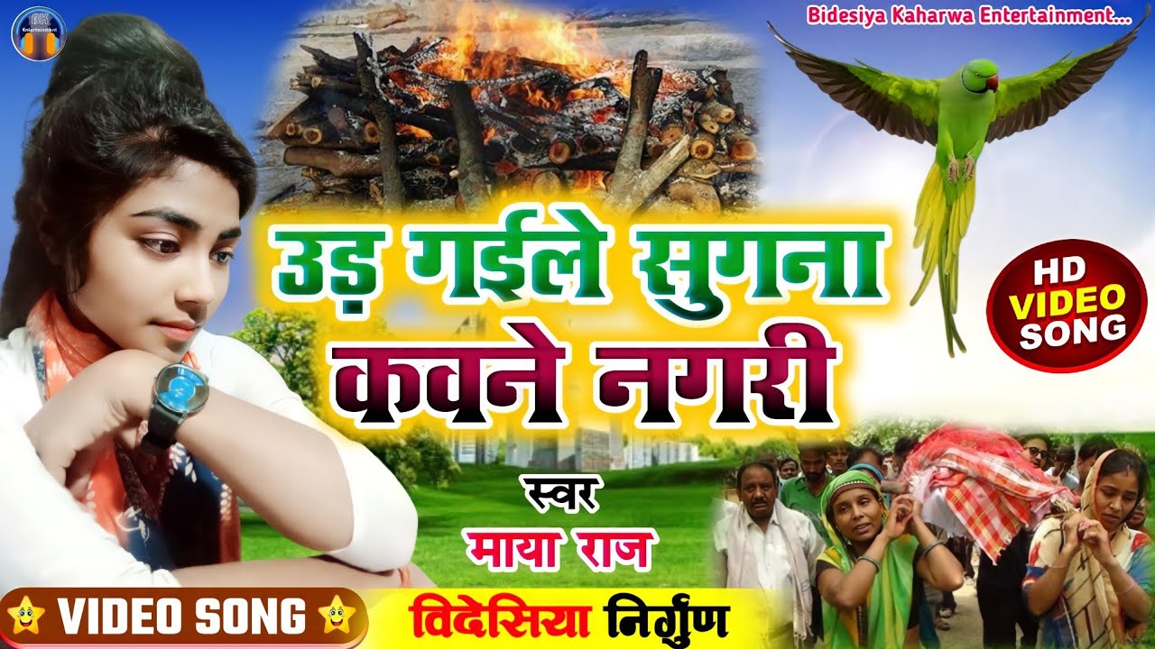 #video_song #बिदेशिया निर्गुण #singer_maya_raj #उड़ गईला सुगना कवने नगरी #bidesiya_nirgun