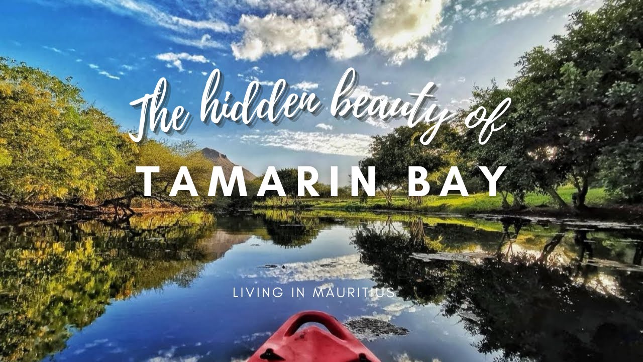 The hidden beauty of Tamarin Bay