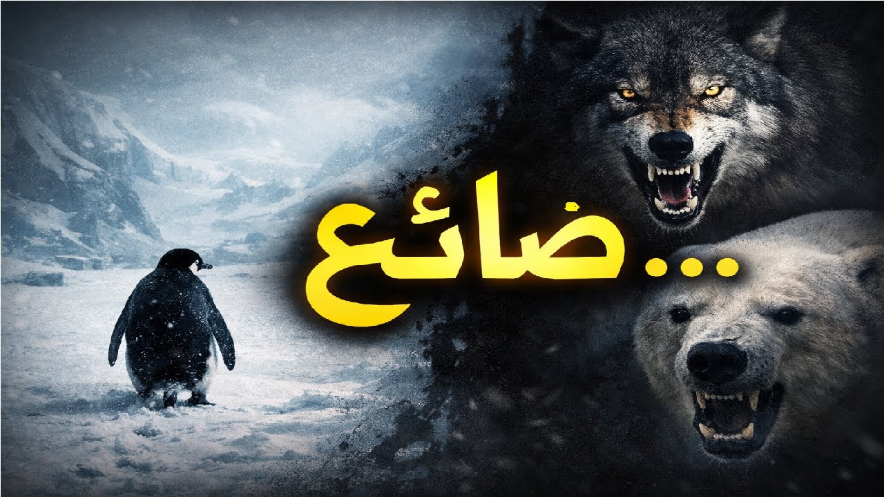 بطريق يمشي وحده | قصة فيديو حيّر العالم