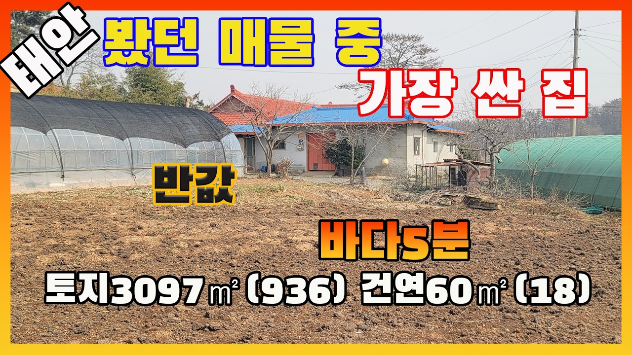 [물건번호3533]충남 태안군 근흥면 바다5분 