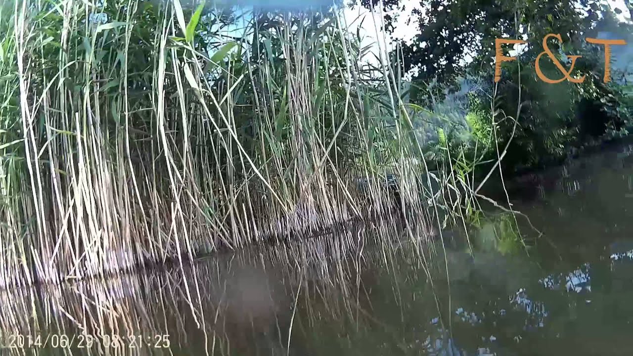 Fischen Ossiacher See (Drop Shot mit Körderfisch) SJ4000 Full HD