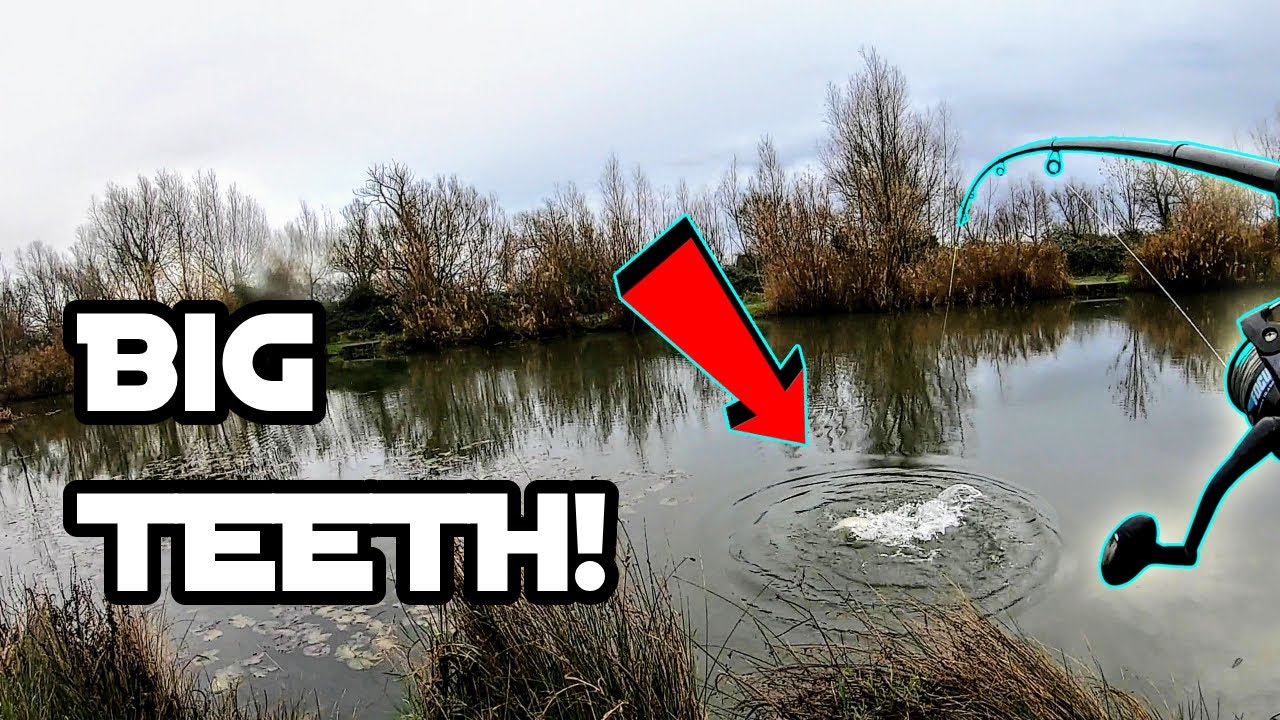 FIRST WELSH PIKE?🎣Pike Fishing With Lures At The Birch Syndicate & Peterstone Lakes!