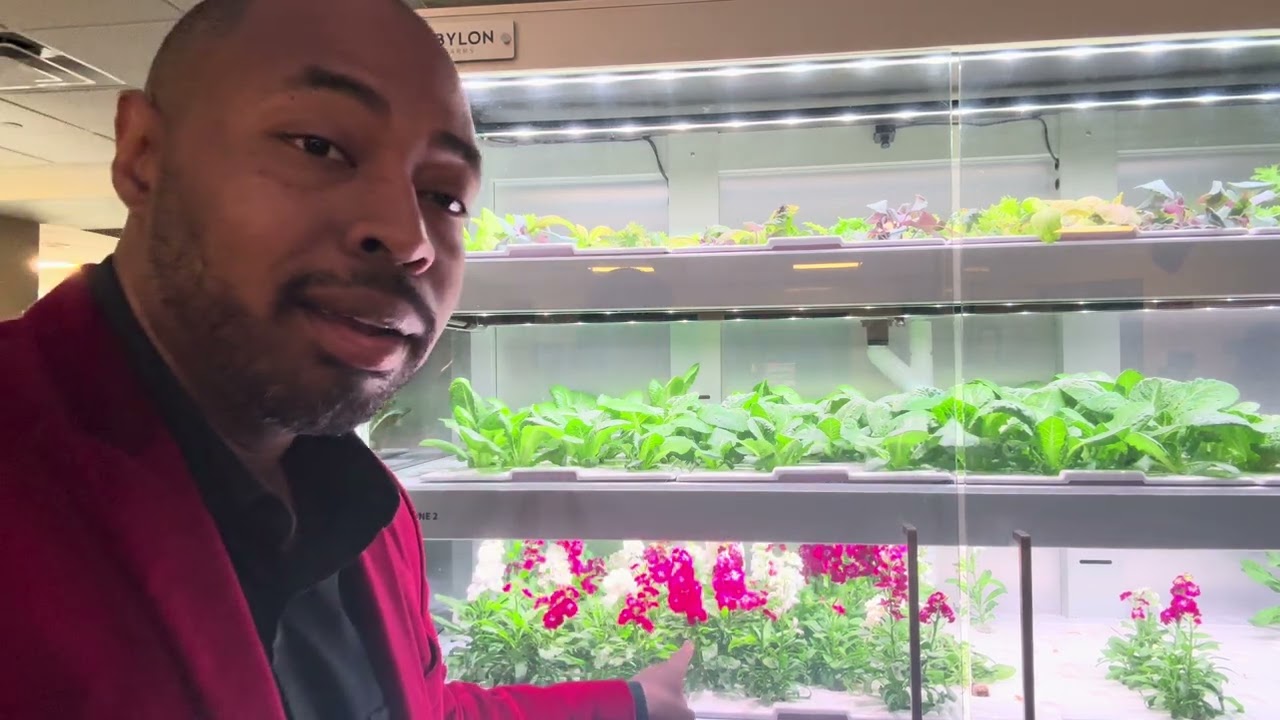 Growing Fresh Flowers