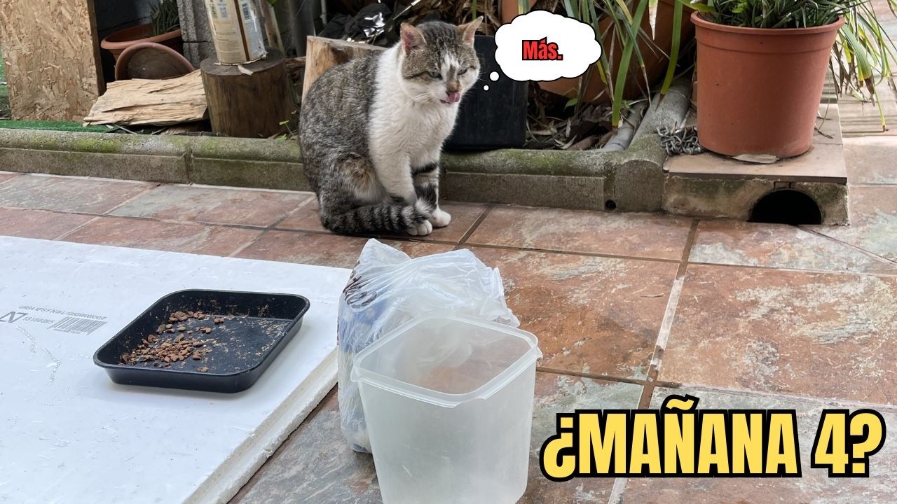 ¡YA SON 3 DÍAS SEGUIDOS!