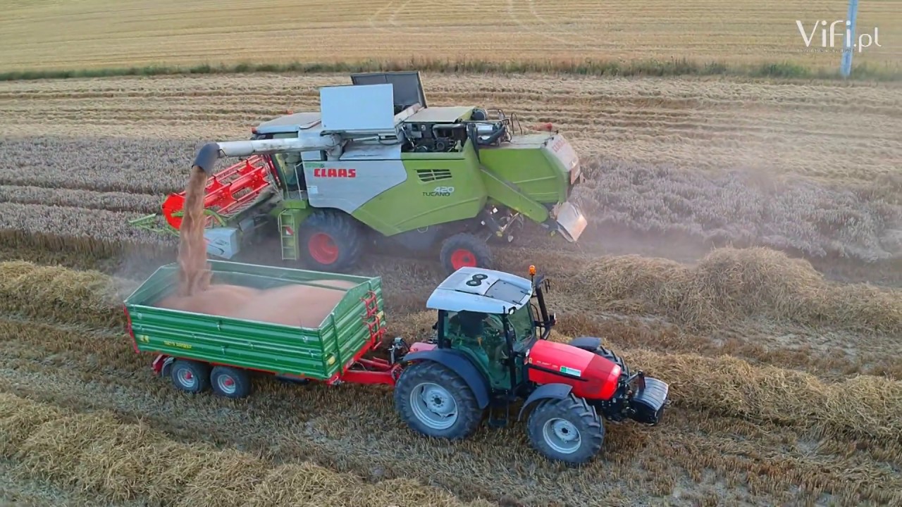 Żniwa 2019 / Śląsk Cieszyński / CLAAS TUCANO 420