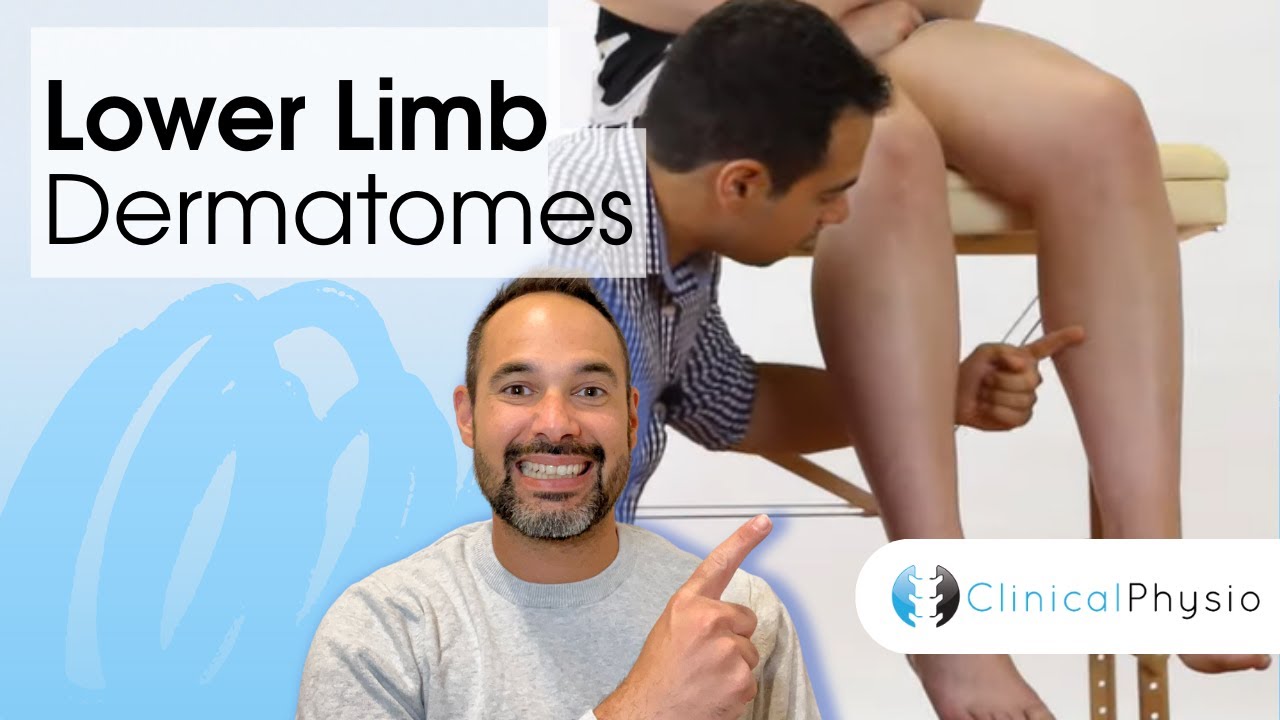 Lower Limb Dermatomes | Clinical Physio