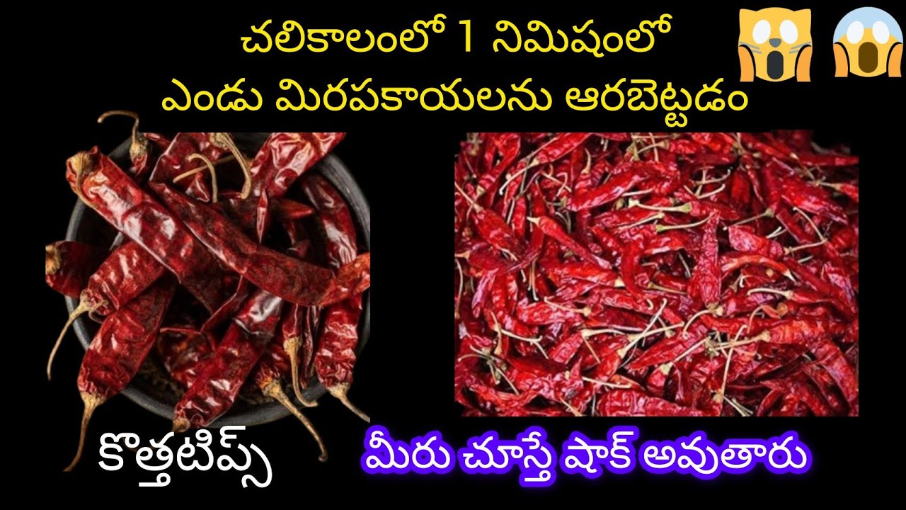 👉🏻 చలికాలం వర్షాకాలంలో 1 నిమిషంలో ఎండు మిరపకాయలను ఆరబెట్టే టిప్స్🤓😱// Money Saving Tips