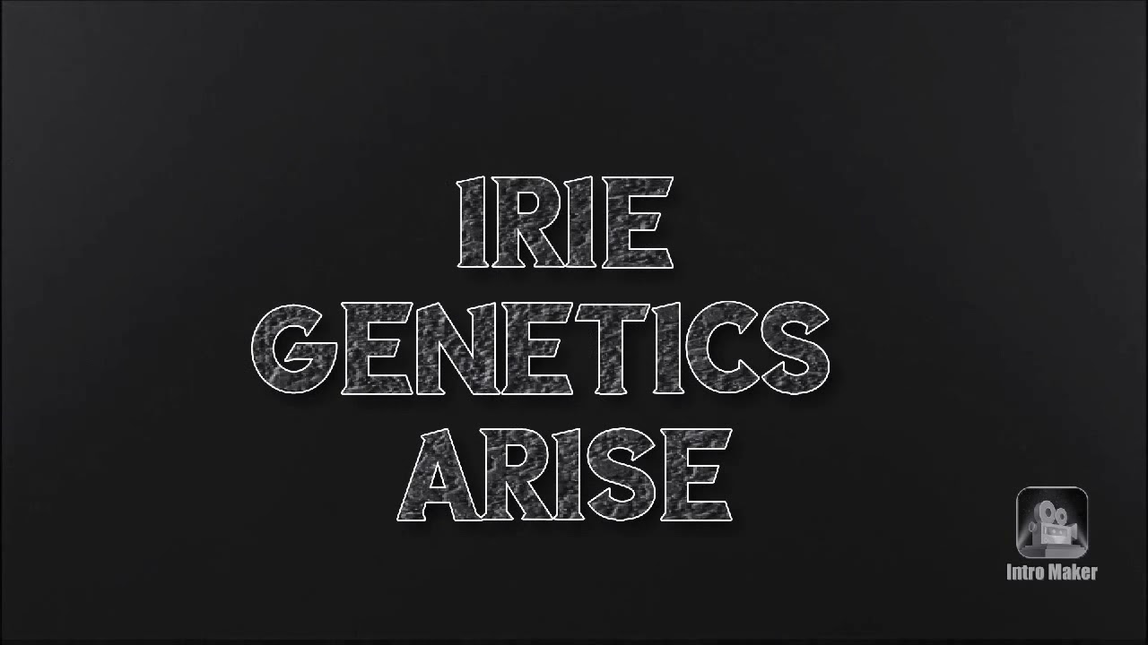 Irie Genetics (Arise) week 7 from seed