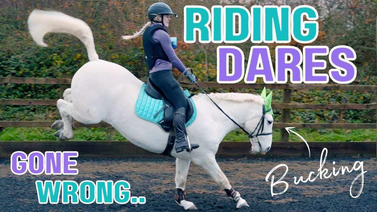 Riding Dares 2024 — версия Каспера