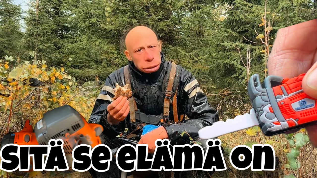 Mets&auml;ty&ouml;n HUONOT puolet / Onko hyv&auml; 