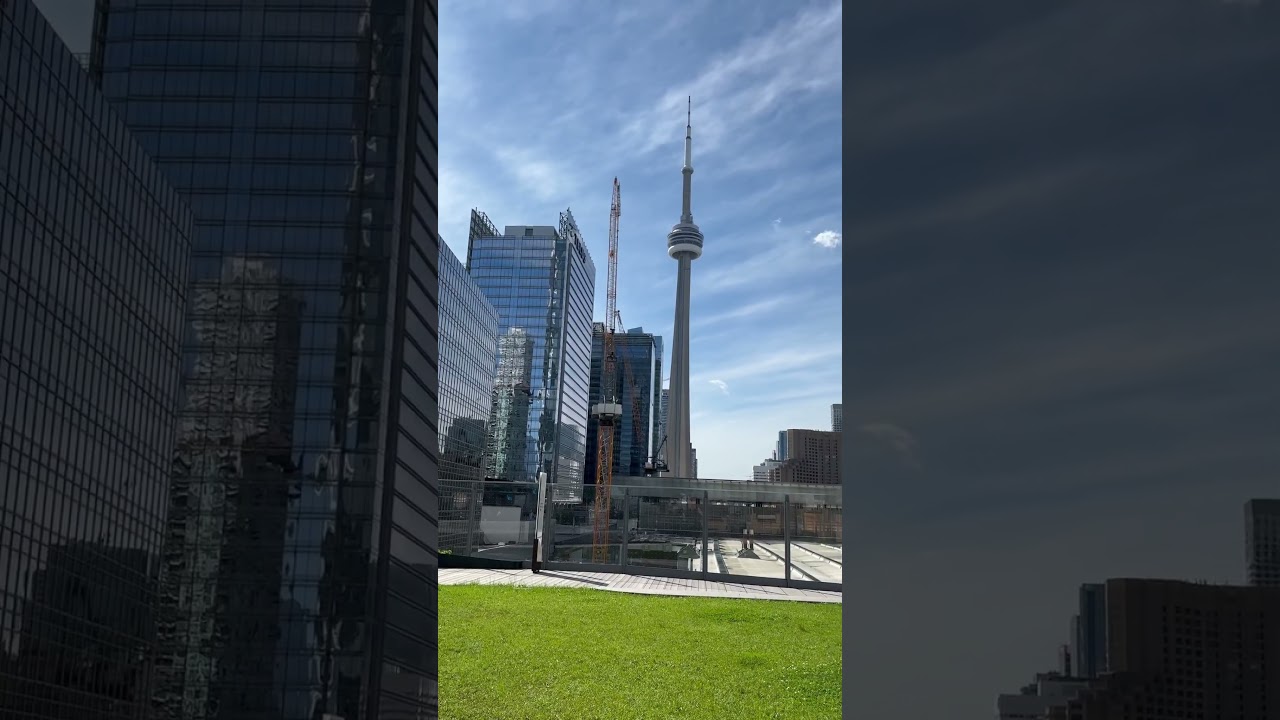 Lovely oasis in the financial district #toronto #torontolife
