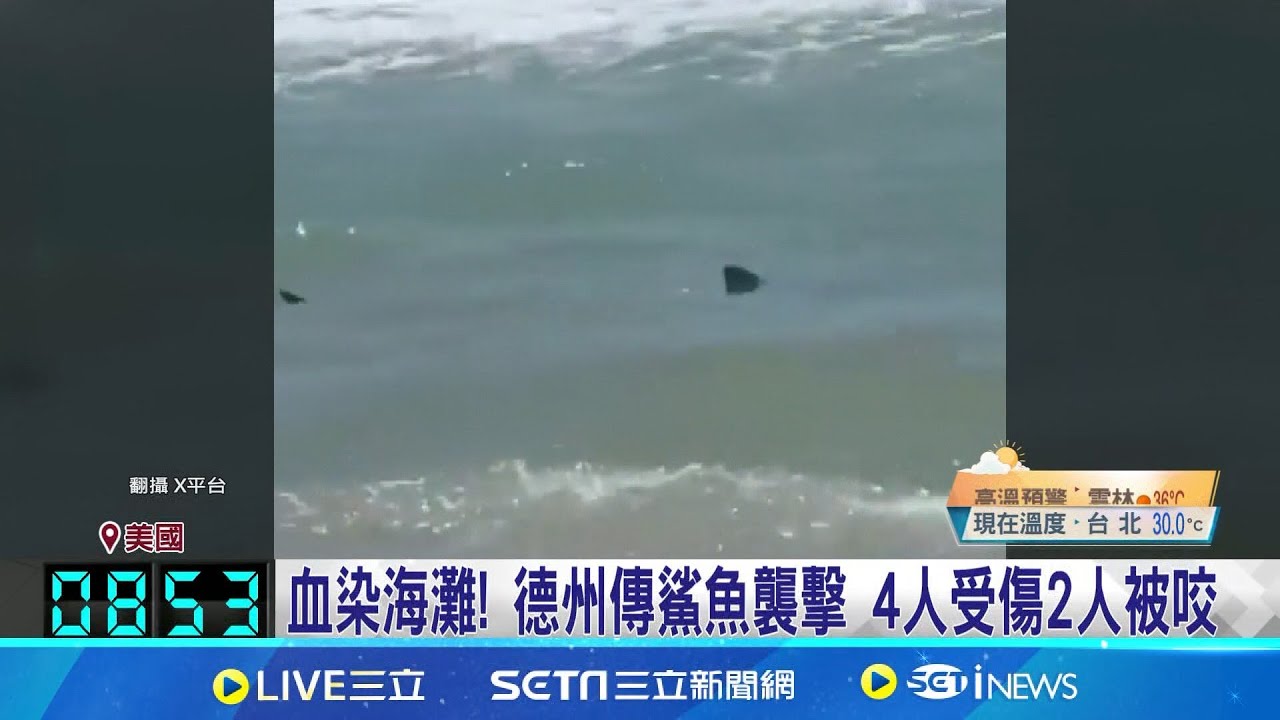 美國慶日傳鯊魚襲擊! 德州4人受傷2人被咬 衝浪慘遭鯊吻 女小腿肚