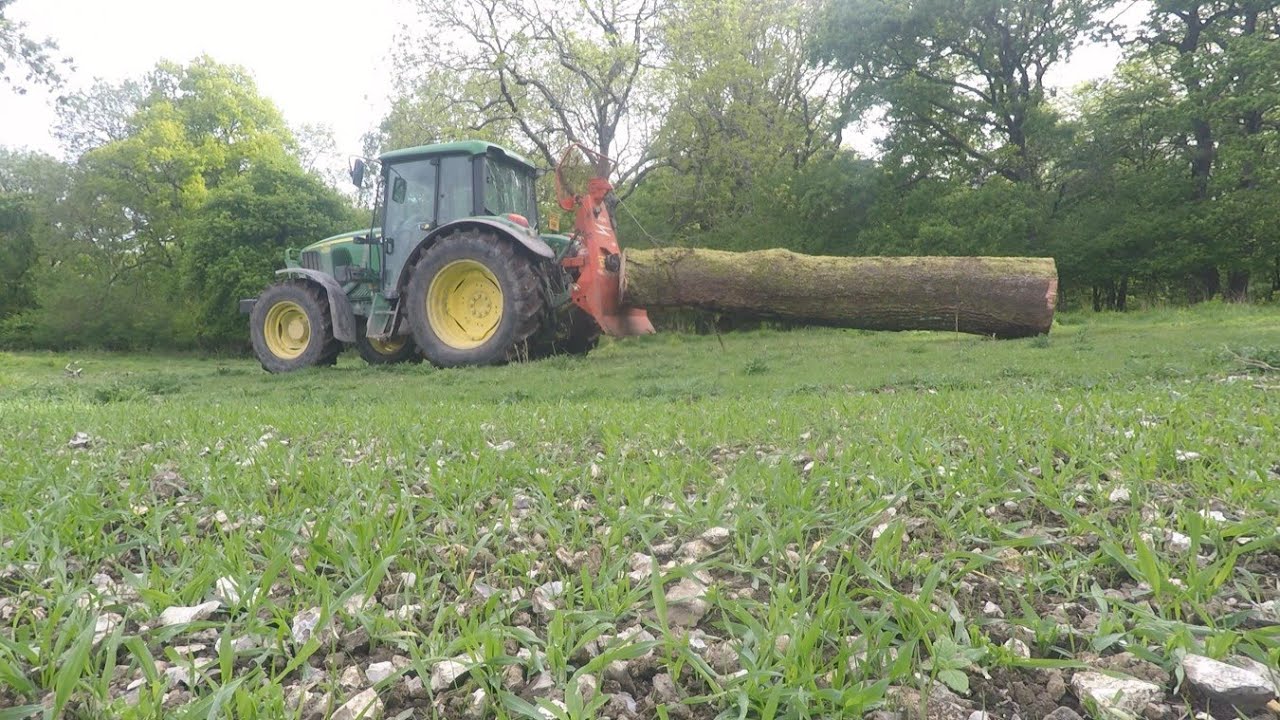 Winching an old oak and pushing up some muck