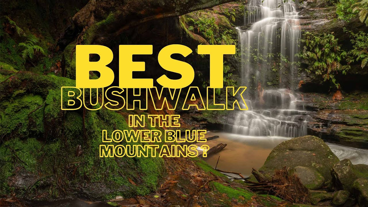 Faulconbridge Bushwalk