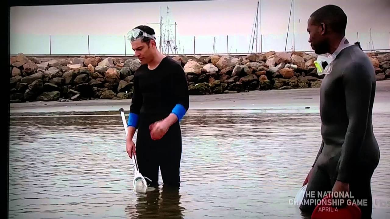 New Girl - Jellyfish