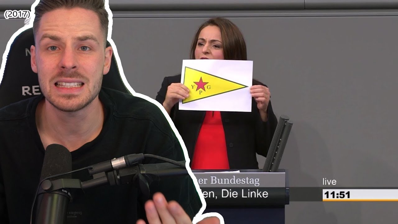 Reaktion auf Alle Ordnungsrufe und Rügen (2017-2019) | Kleiner Ex Kurs in die Politik mit REWI