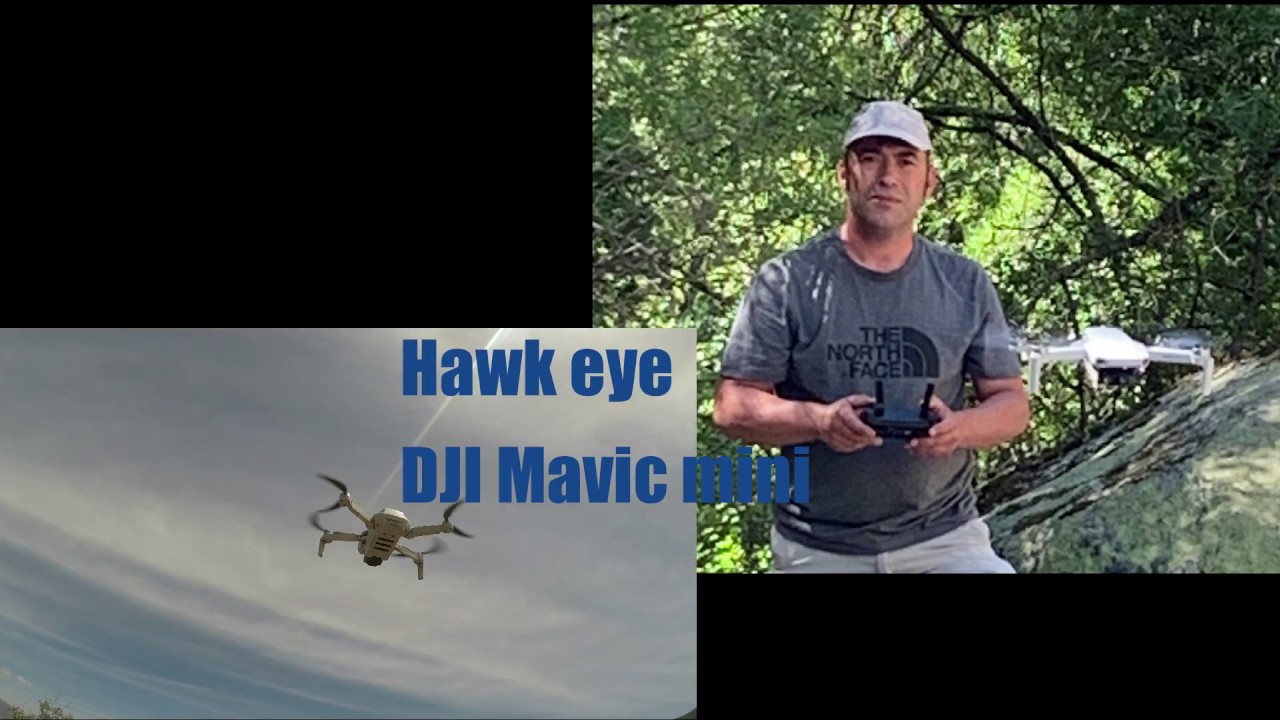 DJI MAVIC MINI.ATAQUE DE ABEJAS EN EL PRIMER VUELO