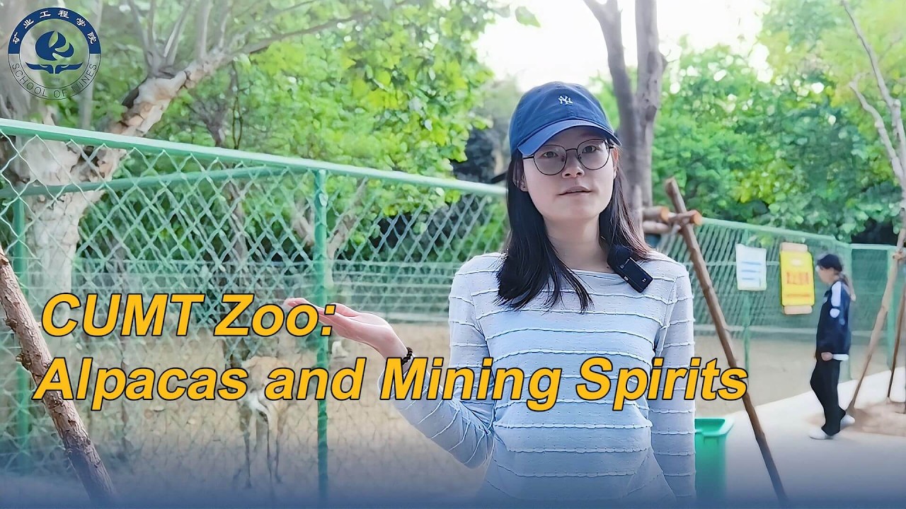 CUMT Zoo: Alpacas and Mining Spirits