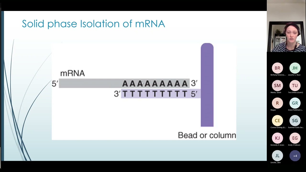 Lecture 1 Nucleic Acid Extraction; Amplification & Detection 2022