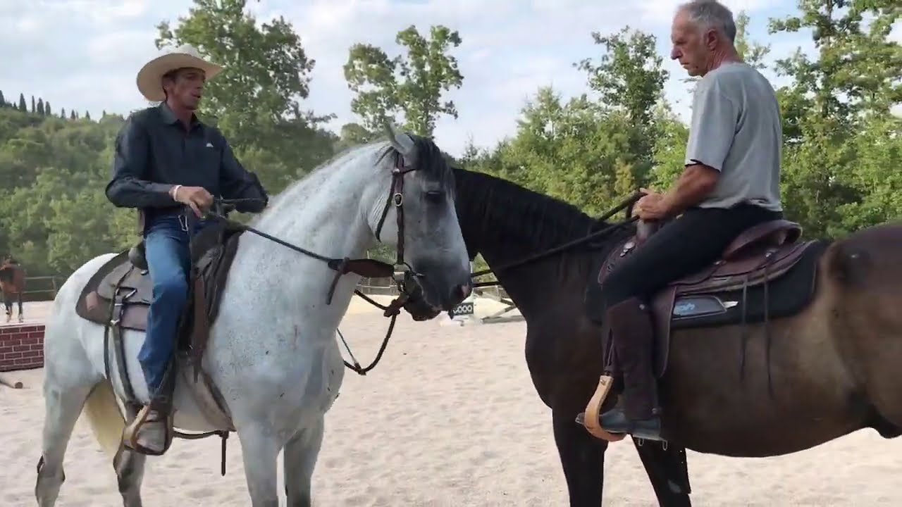 Gestire un cavallo aggressivo con gli altri cavalli