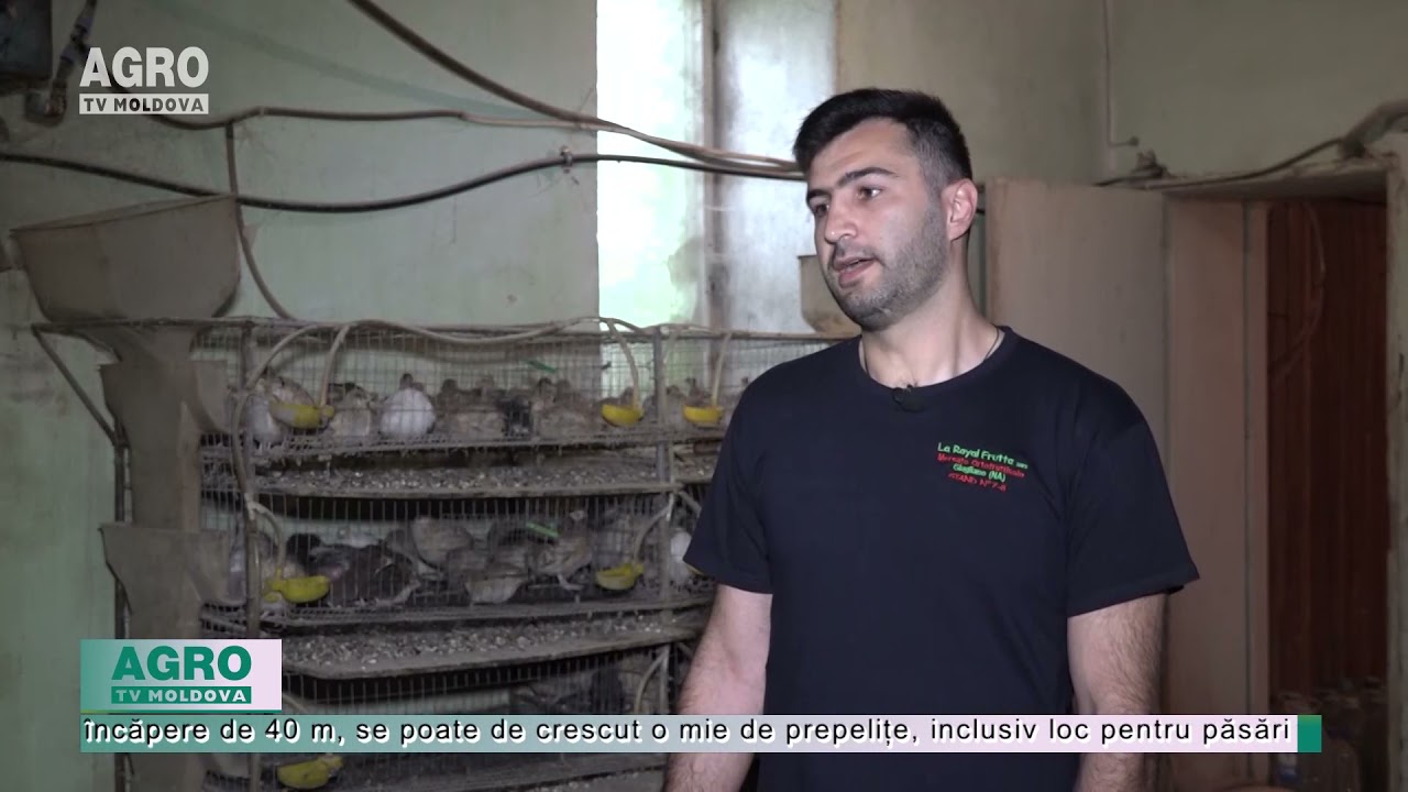 Sunt mici, dar aduc profit mare – AGRO TV News