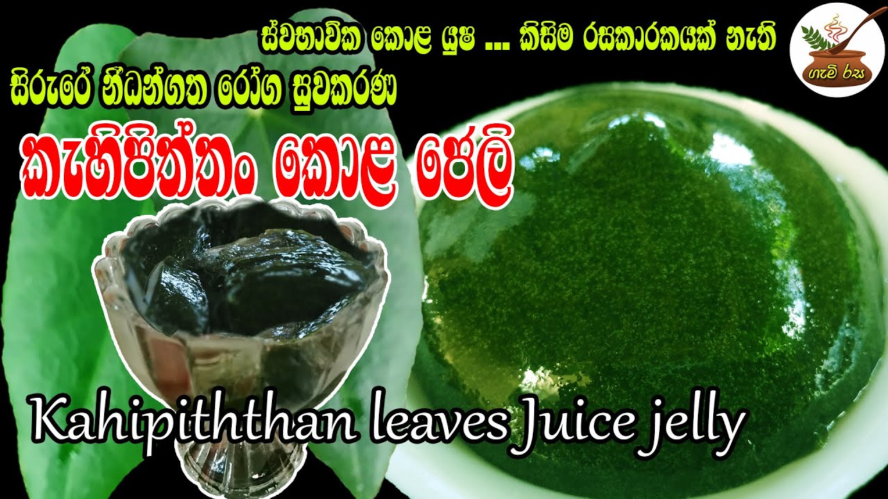 කැහි පිත්තං කොළ යුෂ ජෙලි  Kahi Piththan Leaf Juice Jelly@Village Cooking Channel