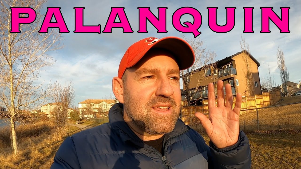 A useless word that you will NEVER use in your life!