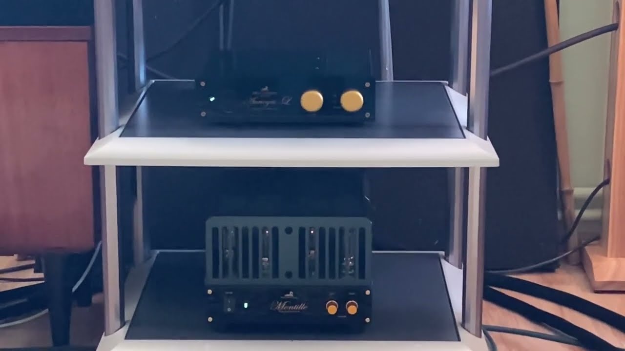 My audio system with Shindo amplifiers .  June 19, 2024