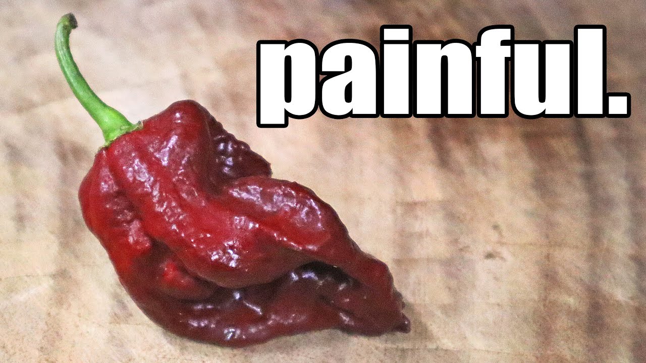 KRAKEN SCORPION CHOCOLATE: Super Hot Pepper - Chili reviews