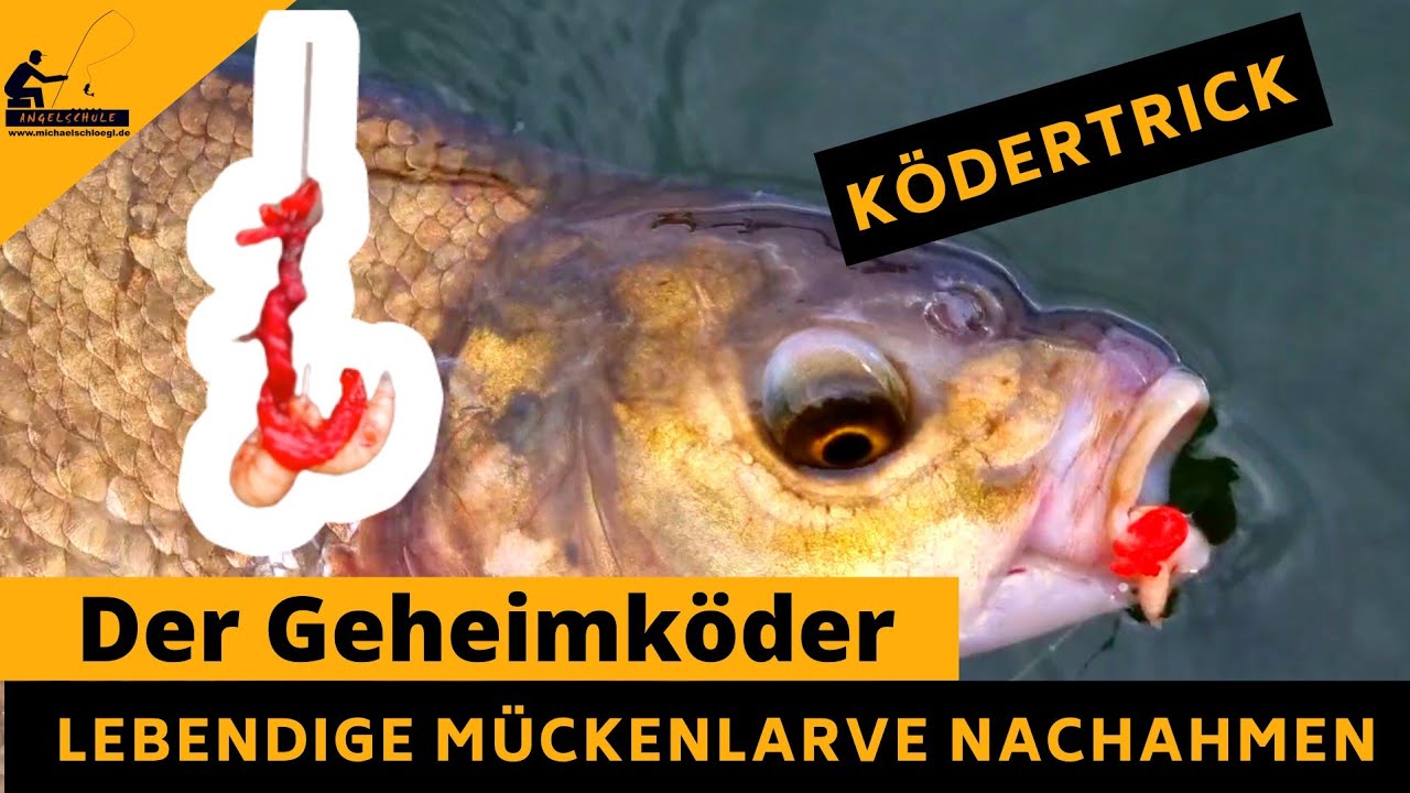 LEBENDIGE Mückenlarven am Haken imitieren- SO einfach geht's!