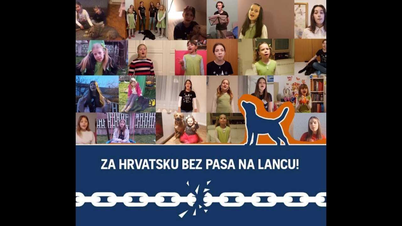 Na lanac NE, Kikići i Genijalci