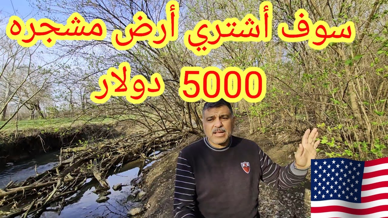 سوف أشتري أرض مشجره في امريكا بسعر 5000 الاف دولار