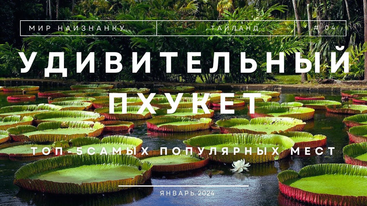 ✅ ВЫ первый раз на ПХУКЕТЕ? Что посмотреть в 2024 году на острове? Удивительный Таиланд!
