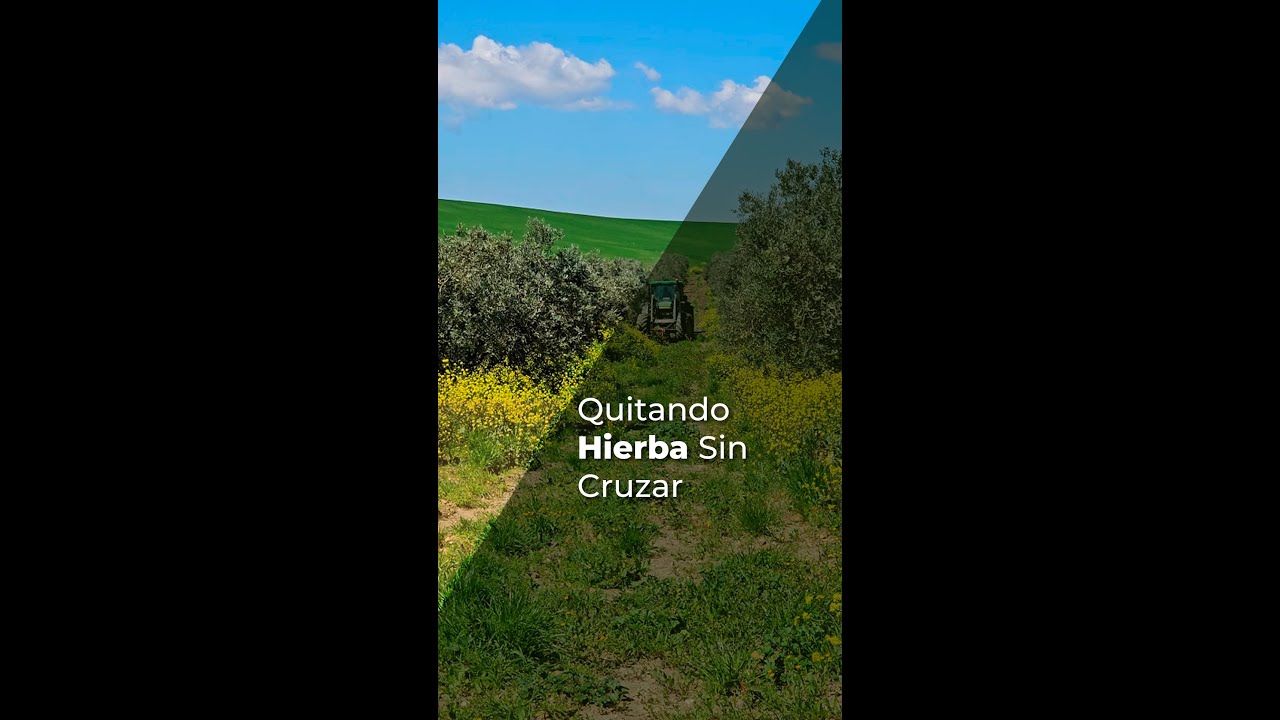 QUITANDO HIERBA SIN CRUZAR